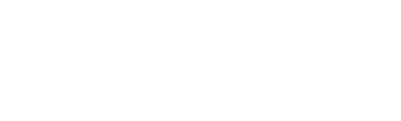 ZEDI