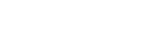 Mood recognition through voice and video in different languages
