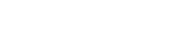 Intelligent Legal Case Assistants for courts