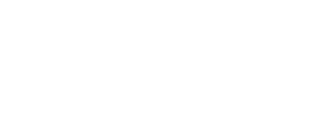 Social Robot