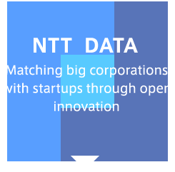 NTT DATA