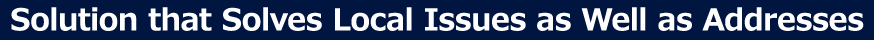 Solution that Solves Local Issues as Well as Addresses