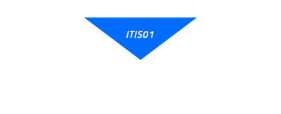 IoT Security