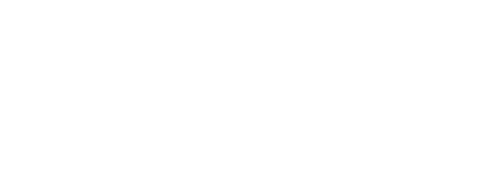 ZEDI