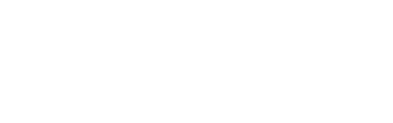 Mood recognition through voice and video in different languages