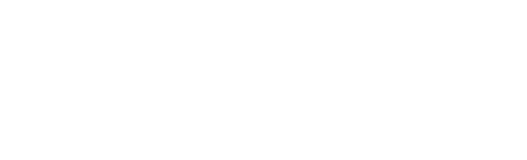 Intelligent Legal Case Assistants for courts