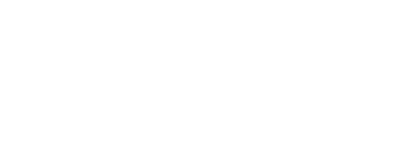 Virtual Assistance