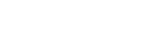 Social Robot